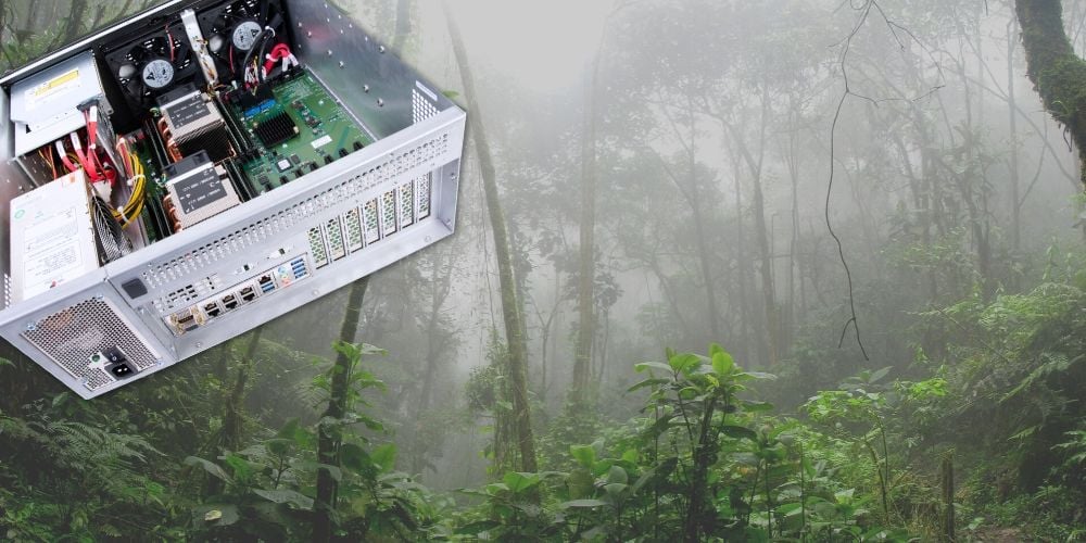 Trenton Systems 4U server in rainforest